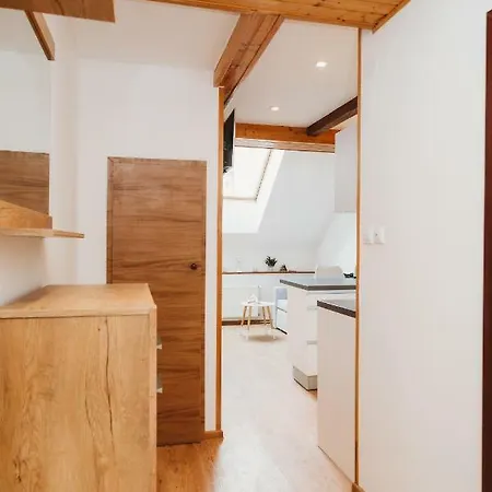 Center City Charming Loft * Kosice