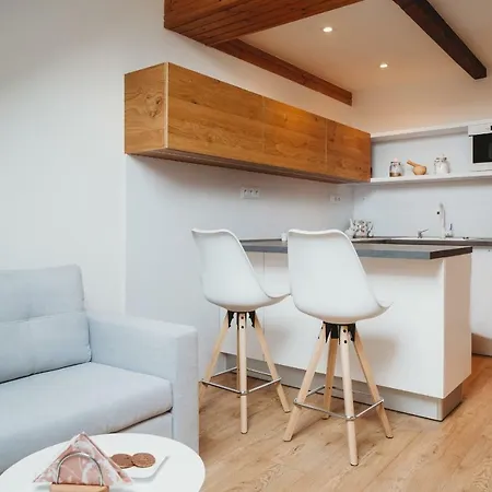 Center City Charming Loft Kosice