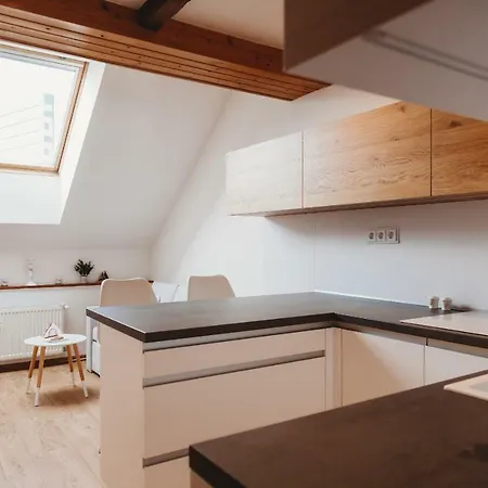Center City Charming Loft *