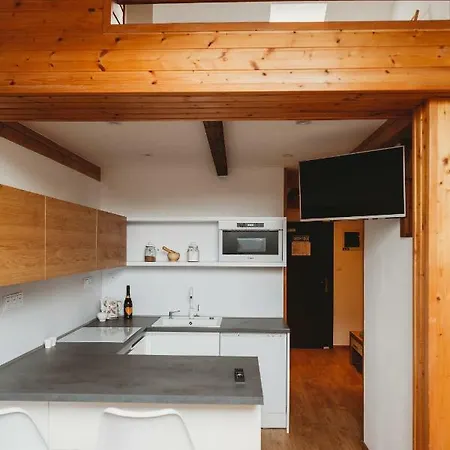 Center City Charming Loft Kosice